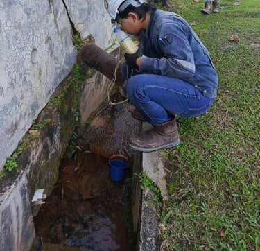 Water quality monitoring