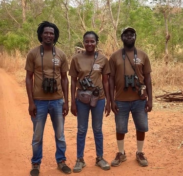 Bird guides of Birding Adventures Gambia & Senegal during a private bird photography tour, equipped 