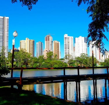 Melhor Franquia de Curso de Banho e Tosa do Brasil