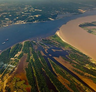 Contrate uma Franquia de Cursos de Banho e Tosa para Manaus Belém Porto Velho