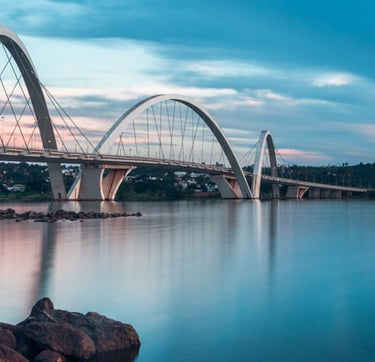 Contrate uma Franquia de Cursos de Banho e Tosa para Brasília