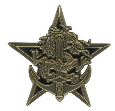 insigne etoile d'eclaireur jungle