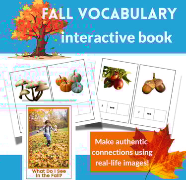Fall Vocabulary Interactive Book with Real Pictures