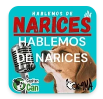 La carátula del Podcast de Ernest Belchi