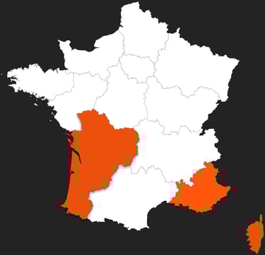carte de france des lieux les plus toucgés par les incendies