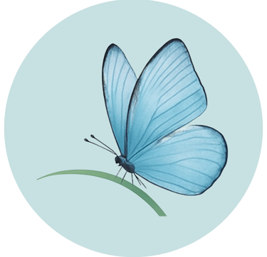 Meditation for Change blue morpho butterfly icon image.