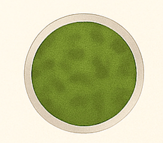 Chlamydia Petrie dish illustration