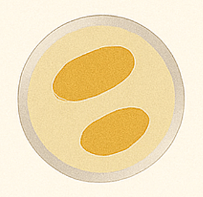 HPV petri dish illustration