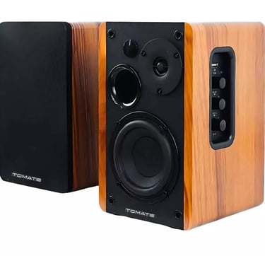 Monitor De Áudio Bluetooth 100W RMS 