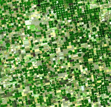 Satellite image of crop circles in Texas