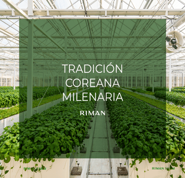 Invernadero moderno con cultivo hidropónico de plantas medicinales coreanas utilizadas en productos