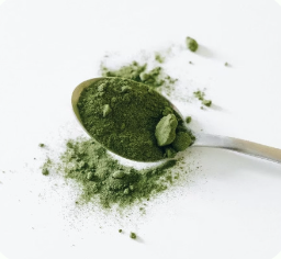 dark green cerimonial matcha powder