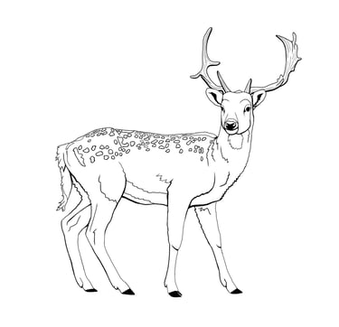 Map of Hamburg's wildlife destinations