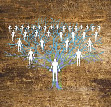 sistēmiskie sakārtojumi