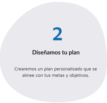 Diseñamos tu plan