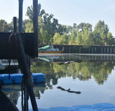 Výhled z oken ateliéru na lodi Jasmín Tůma