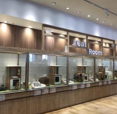 Habitación para gatos