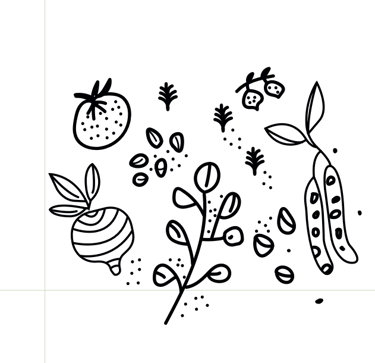 Pattern - Identité Racines sauvage - épicerie traiteur -par Soleado studio