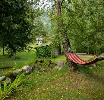 hamakas medyje su vaizdu į žalią sodybos aplinką