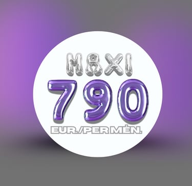 Socialinių tinklų paslaugų planai – MAXI planas.