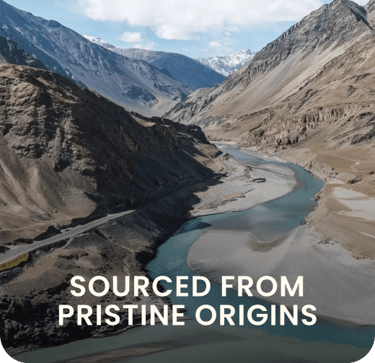 Pure Sea Buckthorn berries sourced from pristine Himalayan origins