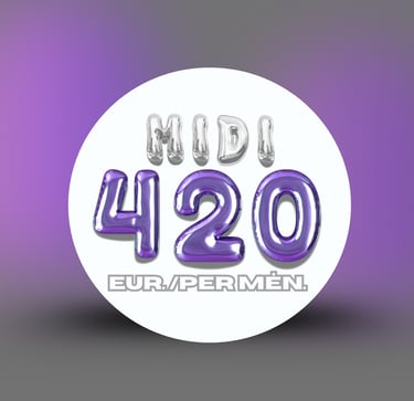  Socialinių tinklų paslaugų planai – MIDI planas.