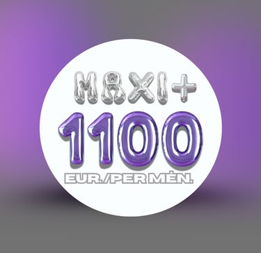 Socialinių tinklų paslaugų planai – MAXI+ planas.