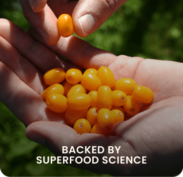 Scientifically tested Sea Buckthorn berries used in WellWith Ayuzera products