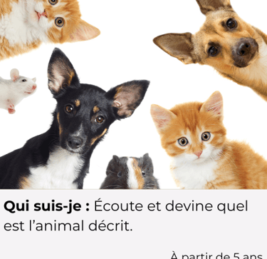 a group of cats and dogs are shown in this image