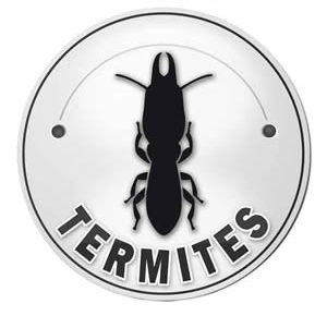 Diagnostic Termites – état relatif à la présence de termites dans un logement