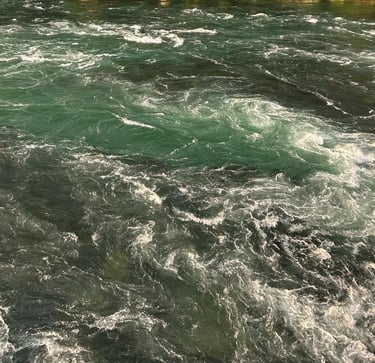 <img src="ornamentas.png" alt="">