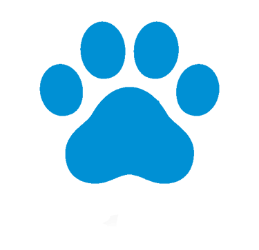 Trace de patte de chat