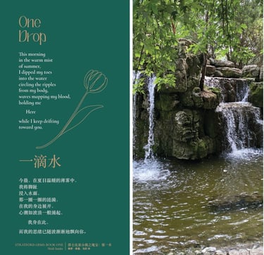 One drop - Stratford Gems - Exhibition