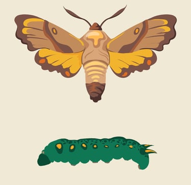 PESTICIDES INSECTES SUPER RESISTANTS