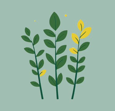 PESTICIDES PLANTE MALADE