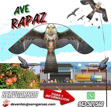 cometa espanta aves plagas