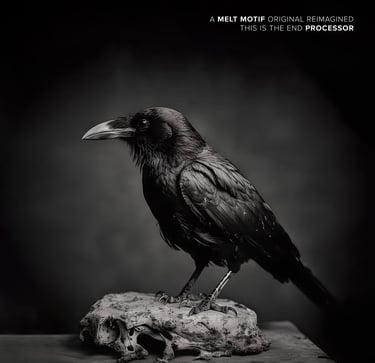 Melt Motif + Processor - This Is the End