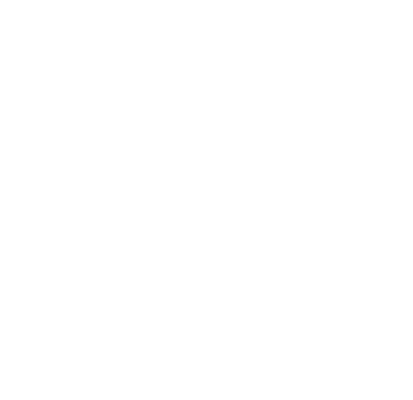 Decorative graphic element