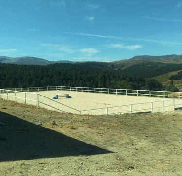 proyecto pista equina ejercicio