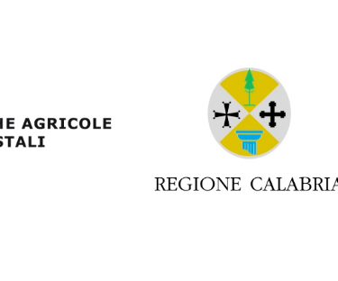TARGA Misura 6 - Intervento 6.2.1