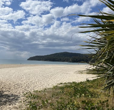 Sunshine Coast Beach