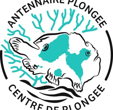 Logo antennaire plongee voyage france guadeloupe