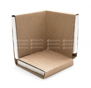 EPS e Papelão BEagi