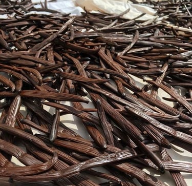 curing process vanilla beans
