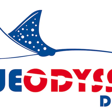 Blue Odyssey Diving
