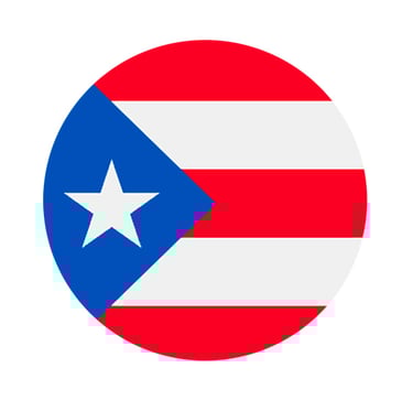 Bandera Puerto Rico Bar El Tambucho Jerez