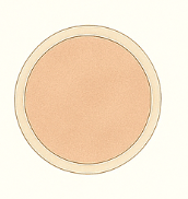 Pubic Lice petri dish illustration