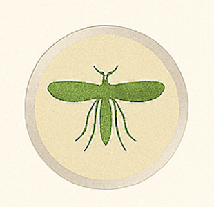 Zika Virus Petri dish illustration