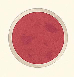 Monkey Pox petri dish illustration