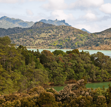 Phillip Capper from Wellington, New Zealand - Parua Bay, Northland, New Zealand, 4th. Dec. 2010